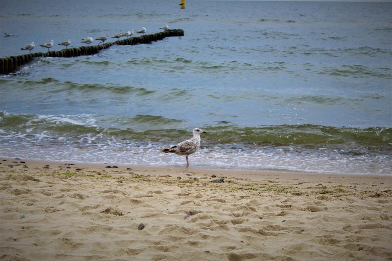 Prima Playa Lägenhet Miedzyzdroje Exteriör bild